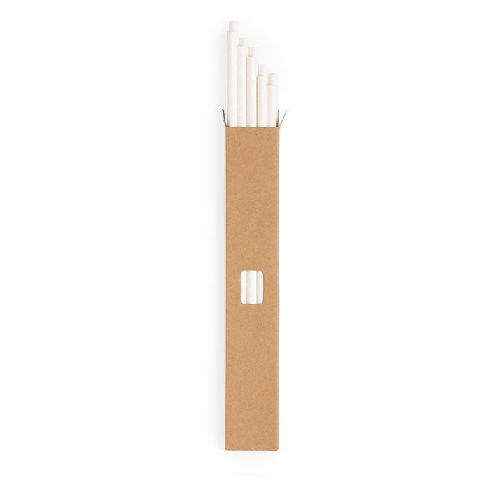Lantux Paper Straws Set